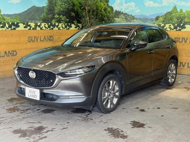 ＣＸ－３０ ＸＤ　プロアクティブ　禁煙車　ディーゼル（軽油）　８．８インチマツダコネクトナビ　全周囲カメラ　レーダークルーズコントロール　ブラインドスポットモニター　パワーバックドア　１８インチ純正アルミ　ＬＥＤヘッド（49枚目）