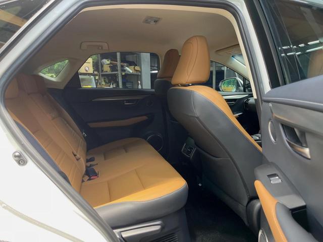 �㕔���Ȃ��C�ɂȂ�悤�ȃL�Y�E�����ւ��蓙�A�傫�ȃ_���[�W�͂Ȃ��A�ǍD�ȏ�Ԃł��B