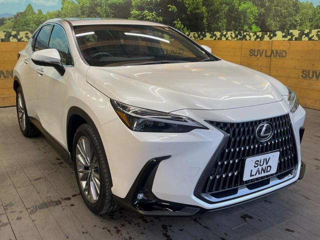 �������x�̃K���X�疌�ŝ����͂������A�㎿�ȃc���E����������B���O����_���J�����؂Ȉ��Ԃ�ی삵�A�F�����E�򉻂�h�~�B�u�e�X�v���b�V���R�[�g�v�A�u�e�v���~�b�T�R�[�g�v���炨�I�т��������܂��B