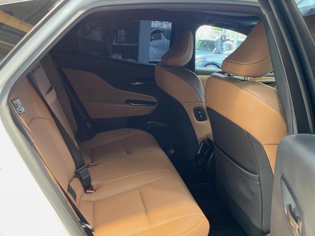 �㕔���Ȃ��C�ɂȂ�悤�ȃL�Y�E�����ւ��蓙�A�傫�ȃ_���[�W�͂Ȃ��A�ǍD�ȏ�Ԃł��B