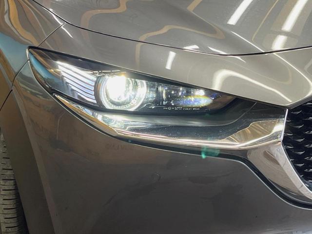 �y�k�d�c�w�b�h���C�g�z���V����ԑ��s�����ǍD�Ȏ��E���m�ۂ����S���ĉ^�]�ł��鍂�P�x�k�d�c�w�b�h���C�g�𑕔��I�_�����x�������A����d�͂��}�����Ă��܂��B