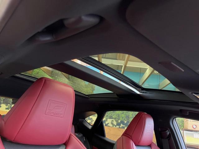 �y��^�T�����[�t�z�ԓ��̉��������C�ɏオ���^�̃p�m���}���[�t�I�G�߂��킸�J���I�ŉ��K�ȃh���C�u�����y���݂��������܂��B���ʗʂ����Ȃ��󏭉��l�̍����l�C�̑����ł���