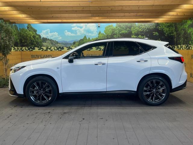 ＮＸ ＮＸ３５０ｈ　Ｆスポーツ　パノラマサンルーフ　１４インチディスプレイオーディオ　全周囲カメラ　プリクラッシュセーフティ　レーダークルーズ　ブラインドスポットモニター　三眼ＬＥＤヘッド　２０インチアルミ　ＥＴＣ　赤革シート（51枚目）