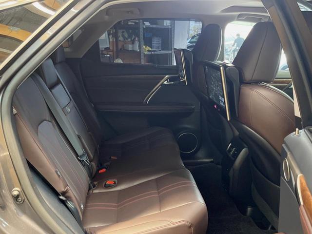 �㕔���Ȃ��C�ɂȂ�悤�ȃL�Y�E�����ւ��蓙�A�傫�ȃ_���[�W�͂Ȃ��A�ǍD�ȏ�Ԃł��B