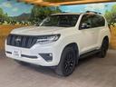 ＴＸ　Ｌパッケージ　マットブラックエディション　４ＷＤ　サンルーフ　９型ディスプレイオーディオ　全周囲カメラ　レーダークルーズ　パワーシート　シートベンチレーション　ＥＴＣ２．０　禁煙車　ブラインドスポットモニター　クリアランスソナー　ＬＥＤヘッド（50枚目）