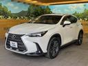ＮＸ２５０　バージョンＬ　サンルーフ　１４型ディスプレイオーディオ　全周囲カメラ　レーダークルーズ　禁煙車　デジタルインナーミラー　ブラインドスポットモニター　ＥＴＣ　三眼ＬＥＤヘッド　シートベンチレーション　パワーバックドア（47枚目）