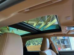 緿롼աۼβ쵤˾夬緿ΥѥΥޥ롼ա鷺ŪǲŬʥɥ饤֤򤪳ڤߤޤή̤⾯ʤͤι⤤͵Ǥ 3