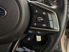 ������®�ɽ���ǽ�ե��롼������ȥ�����۹�®ƻϩ�Ǥ�Ĺ��Υ���Ԥ��ڤˡ�����ư��®�٤��ݤĥ��롼������ȥ����뤬�����ͷڸ������ƥ��Ϣ�Ȥ��������μ�ξ���Τ��Ƽִ֤��ݤĤ褦��®��Ĵ�ᤷ�Ƥ���ޤ����� 5