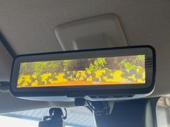 �ڥǥ�����롼��ߥ顼�۸��ʤ��礭�ʲ�ʪ��Ʊ��ԤǸ�������ǧ���Ť餤���Ǥ�¿�������餬���Ƥ�����ξ�����α�����롼��ߥ顼���ɽ�������ꥢ�ʻ볦�Ǿ����γ�ǧ����ǽ�Ǥ��� 6