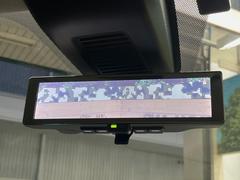 �ڥ���ƥꥸ����ȥ롼��ߥ顼�۸��ʤ��礭�ʲ�ʪ��Ʊ��ԤǸ�������ǧ���Ť餤���Ǥ�¿�������餬���Ƥ�����ξ�����α�����롼��ߥ顼���ɽ�������ꥢ�ʻ볦�Ǿ����γ�ǧ����ǽ�Ǥ��� 7