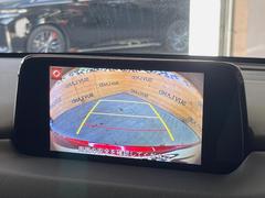 �ڥ����ɡ��Хå���������֡���ֻ��˻�Ѥˤʤ꤬���ʱ�ž�ʤ��鸫���Ť餤�����ɤȥꥢ�ξ㳲ʪ���ǧ�Ǥ��ޤ�����ŷ������֤ʤɤ��ä˳������Ƥ���륢���ƥ�Ǥ��� 4