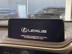 �ڣ�������������磻�ɥʥӡ۹�鴶�ȥ���ѥ��ȤΤ����緿�磻�ɥʥӤ��������Ƽ索���ǥ������Ϥ�����󡢲�Ĺ�磻�ɲ��̤ǤΥޥåף�ʬ��ɽ���ʤɡ���������⤤�ʥӤǤ��� 4