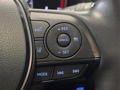 �ڥ졼�������롼������ȥ�����۹�®ƻϩ�Ǥ�Ĺ��Υ���Ԥ��ڤˡ�����ư��®�٤��ݤĥ��롼������ȥ����뤬�����ͷڸ������ƥ��Ϣ�Ȥ��������μ�ξ���Τ��Ƽִ֤��ݤĤ褦��®��Ĵ�ᤷ�Ƥ���ޤ����� 6