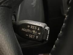 �ڥ졼�������롼������ȥ�����۹�®ƻϩ�Ǥ�Ĺ��Υ���Ԥ��ڤˡ�����ư��®�٤��ݤĥ��롼������ȥ����뤬�����ͷڸ������ƥ��Ϣ�Ȥ��������μ�ξ���Τ��Ƽִ֤��ݤĤ褦��®��Ĵ�ᤷ�Ƥ���ޤ����� 6