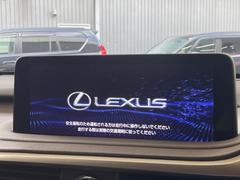 �ڣ�������������磻�ɥʥӡ۹�鴶�ȥ���ѥ��ȤΤ����緿�磻�ɥʥӤ��������Ƽ索���ǥ������Ϥ�����󡢲�Ĺ�磻�ɲ��̤ǤΥޥåף�ʬ��ɽ���ʤɡ���������⤤�ʥӤǤ��� 3