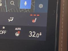 �ڥ����ȥҡ������۴������˽������륷���ȥҡ������������������᤯���ޤäƤ����ΤǴ�����οͤ�¿��Ǥ��͢���������β����ϴ��礹�뤫���ꡢ�Ȥ������ˤ�򤪤�����Ǥ��� 6