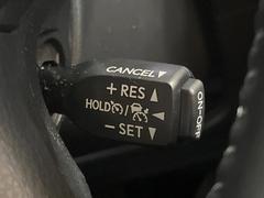 �ڥ졼�������롼������ȥ�����۹�®ƻϩ�Ǥ�Ĺ��Υ���Ԥ��ڤˡ�����ư��®�٤��ݤĥ��롼������ȥ����뤬�����ͷڸ������ƥ��Ϣ�Ȥ��������μ�ξ���Τ��Ƽִ֤��ݤĤ褦��®��Ĵ�ᤷ�Ƥ���ޤ����� 5