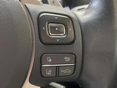 �ڥ졼�������롼������ȥ�����۹�®ƻϩ�Ǥ�Ĺ��Υ���Ԥ��ڤˡ�����ư��®�٤��ݤĥ��롼������ȥ����뤬�����ͷڸ������ƥ��Ϣ�Ȥ��������μ�ξ���Τ��Ƽִ֤��ݤĤ褦��®��Ĵ�ᤷ�Ƥ���ޤ����� 6