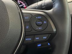 �ڥ졼�������롼������ȥ�����۹�®ƻϩ�Ǥ�Ĺ��Υ���Ԥ��ڤˡ�����ư��®�٤��ݤĥ��롼������ȥ����뤬�����ͷڸ������ƥ��Ϣ�Ȥ��������μ�ξ���Τ��Ƽִ֤��ݤĤ褦��®��Ĵ�ᤷ�Ƥ���ޤ����� 5