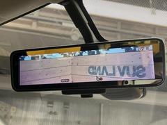 �ڥ���ƥꥸ����ȥ롼��ߥ顼�۸��ʤ��礭�ʲ�ʪ��Ʊ��ԤǸ�������ǧ���Ť餤���Ǥ�¿�������餬���Ƥ�����ξ�����α�����롼��ߥ顼���ɽ�������ꥢ�ʻ볦�Ǿ����γ�ǧ����ǽ�Ǥ��� 7