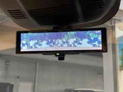 �ڥ���ƥꥸ����ȥ롼��ߥ顼�۸��ʤ��礭�ʲ�ʪ��Ʊ��ԤǸ�������ǧ���Ť餤���Ǥ�¿�������餬���Ƥ�����ξ�����α�����롼��ߥ顼���ɽ�������ꥢ�ʻ볦�Ǿ����γ�ǧ����ǽ�Ǥ��� 6