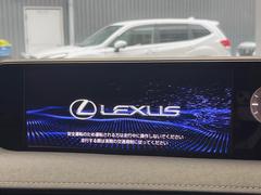 �ڣ�������������磻�ɥʥӡ۹�鴶�ȥ���ѥ��ȤΤ����緿�磻�ɥʥӤ��������Ƽ索���ǥ������Ϥ�����󡢲�Ĺ�磻�ɲ��̤ǤΥޥåף�ʬ��ɽ���ʤɡ���������⤤�ʥӤǤ��� 3