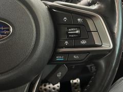 ������®�ɽ���ǽ�ե��롼������ȥ�����۹�®ƻϩ�Ǥ�Ĺ��Υ���Ԥ��ڤˡ�����ư��®�٤��ݤĥ��롼������ȥ����뤬�����ͷڸ������ƥ��Ϣ�Ȥ��������μ�ξ���Τ��Ƽִ֤��ݤĤ褦��®��Ĵ�ᤷ�Ƥ���ޤ����� 6