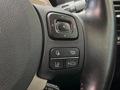 �ڥ졼�������롼������ȥ�����۹�®ƻϩ�Ǥ�Ĺ��Υ���Ԥ��ڤˡ�����ư��®�٤��ݤĥ��롼������ȥ����뤬�����ͷڸ������ƥ��Ϣ�Ȥ��������μ�ξ���Τ��Ƽִ֤��ݤĤ褦��®��Ĵ�ᤷ�Ƥ���ޤ����� 6