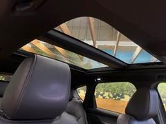 ���緿����롼�աۼ���β��������쵤�˾夬���緿�ΥѥΥ�ޥ롼�ա��������鷺����Ū�ǲ�Ŭ�ʥɥ饤�֤򤪳ڤ��ߤ��������ޤ���ή���̤⾯�ʤ��������ͤι⤤�͵��������Ǥ��� 3