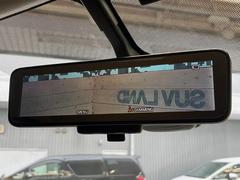 �ڥ���ƥꥸ����ȥ롼��ߥ顼�۸��ʤ��礭�ʲ�ʪ��Ʊ��ԤǸ�������ǧ���Ť餤���Ǥ�¿�������餬���Ƥ�����ξ�����α�����롼��ߥ顼���ɽ�������ꥢ�ʻ볦�Ǿ����γ�ǧ����ǽ�Ǥ��� 6