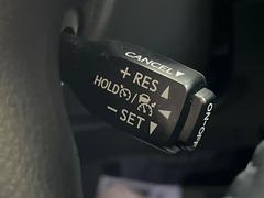 �ڥ졼�������롼������ȥ�����۹�®ƻϩ�Ǥ�Ĺ��Υ���Ԥ��ڤˡ�����ư��®�٤��ݤĥ��롼������ȥ����뤬�����ͷڸ������ƥ��Ϣ�Ȥ��������μ�ξ���Τ��Ƽִ֤��ݤĤ褦��®��Ĵ�ᤷ�Ƥ���ޤ����� 6