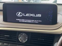 �ڣ�������������磻�ɥʥӡ۹�鴶�ȥ���ѥ��ȤΤ����緿�磻�ɥʥӤ��������Ƽ索���ǥ������Ϥ�����󡢲�Ĺ�磻�ɲ��̤ǤΥޥåף�ʬ��ɽ���ʤɡ���������⤤�ʥӤǤ��� 4