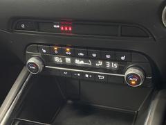 �ڥ����ȥҡ������۴������˽������륷���ȥҡ������������������᤯���ޤäƤ����ΤǴ�����οͤ�¿��Ǥ��͢���������β����ϴ��礹�뤫���ꡢ�Ȥ������ˤ�򤪤�����Ǥ��� 7