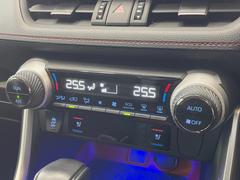 �ڥ����ȥ٥���졼�����۲ƾ���ä������Ǥ����������Ǯ������ɤ����ߤϥ�����������᤯���ޤäƥݥ��ݥ��ˡ��������鷺��Ŭ�˲ᤴ���ޤ��� 7