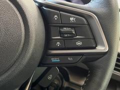 ������®�ɽ���ǽ�ե��롼������ȥ�����۹�®ƻϩ�Ǥ�Ĺ��Υ���Ԥ��ڤˡ�����ư��®�٤��ݤĥ��롼������ȥ����뤬�����ͷڸ������ƥ��Ϣ�Ȥ��������μ�ξ���Τ��Ƽִ֤��ݤĤ褦��®��Ĵ�ᤷ�Ƥ���ޤ����� 6