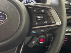 ������®�ɽ���ǽ�ե��롼������ȥ�����۹�®ƻϩ�Ǥ�Ĺ��Υ���Ԥ��ڤˡ�����ư��®�٤��ݤĥ��롼������ȥ����뤬�����ͷڸ������ƥ��Ϣ�Ȥ��������μ�ξ���Τ��Ƽִ֤��ݤĤ褦��®��Ĵ�ᤷ�Ƥ���ޤ����� 5