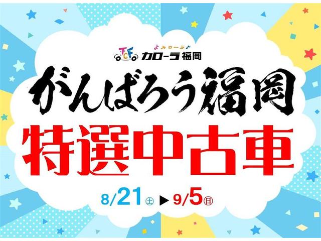Gメイクアップリミテッド SAIII 予防安全装置付き メモリーナビ バックカメラ ロングラン保証1年(2枚目)