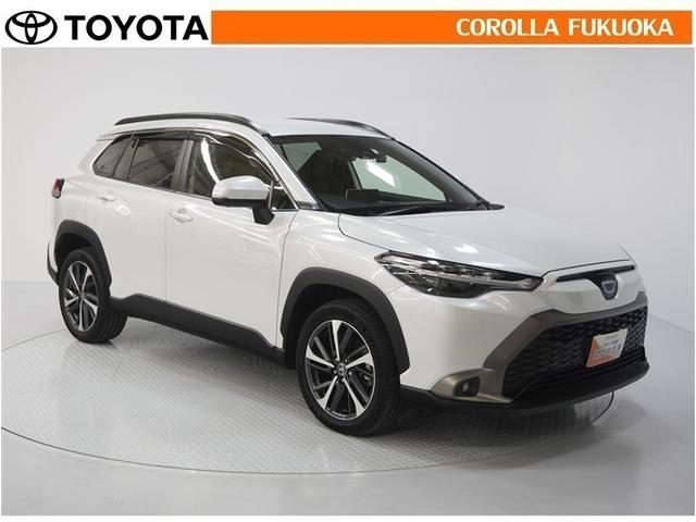 ������������S�I�����̓J���[�������T�[�r�X�F�؍H��ɂ��C�����������B