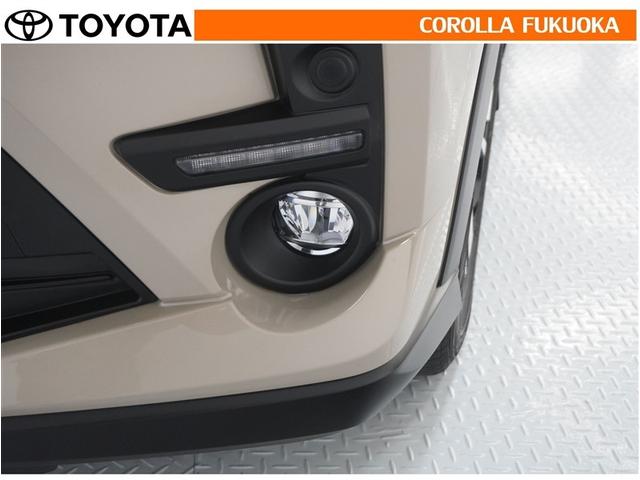 �J�▶�Ȃǂ̈��V�󉺂ł̎��E���m�ۂ��܂��B