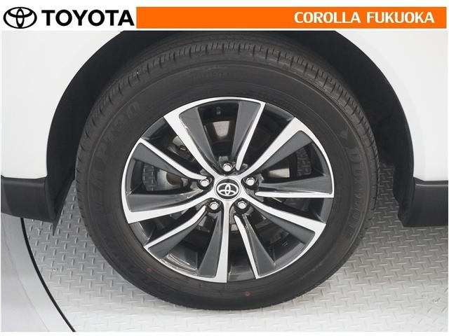 �y���ȑ��������o����A���~�z�C�[���A�P�Ȃ�h���X�A�b�v�ł͂Ȃ������ƌy�ʉ��Ń��������N��̋C�����������܂��B