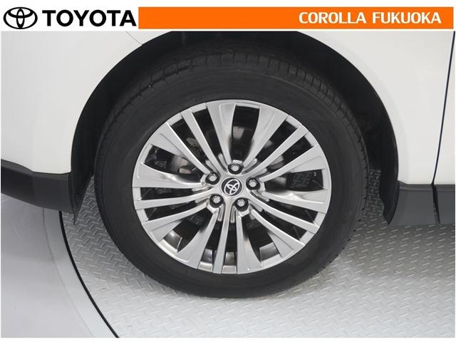 �y���ȑ��������o����A���~�z�C�[���A�P�Ȃ�h���X�A�b�v�ł͂Ȃ������ƌy�ʉ��Ń��������N��̋C�����������܂��B