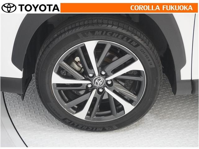 ���q�l�̃J�[���C�t���T�|�[�g�I���S�A���S�����b�g�[�ɁA���̂��Ԃ̔[�Ԏ��ɂ̓^�C�����S�{�V�i�����������܂��B