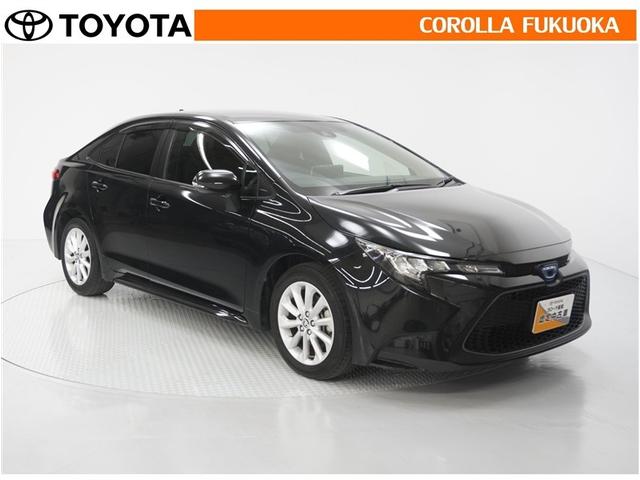 �y�₩�ȃn���h�����O���A����ŐS�n�悢�t�b�g���[�N�𐶂ݏo���܂��B