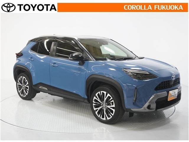 ������������S�I�����̓J���[�������T�[�r�X�F�؍H��ɂ��C�����������B