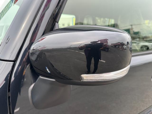 ハスラー タフワイルド（11枚目）