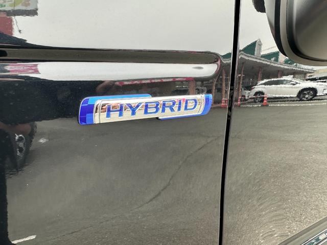 ハスラー タフワイルド（15枚目）