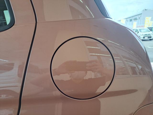 アルトラパン Ｘ（64枚目）