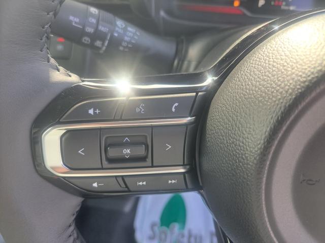 スペーシアカスタム ハイブリッドＸＳ（49枚目）