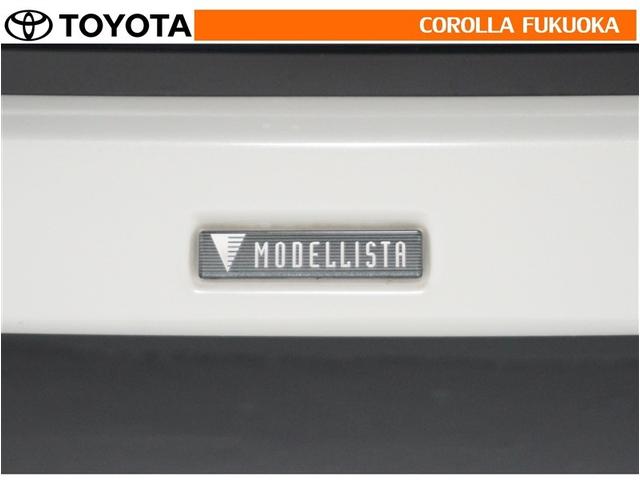 カローラツーリング ハイブリッド ダブルバイビー 衝突被害軽減システム フルセグ ETC バックカメラ キーレス スマートキー 盗難防止装置(31枚目)