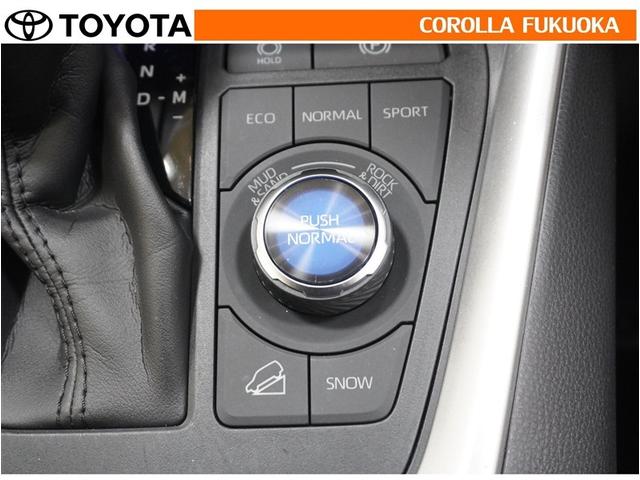 ＲＡＶ４ アドベンチャー　衝突被害軽減システム　４ＷＤ　メモリーナビ　フルセグ　ＥＴＣ　バックカメラ　キーレス　スマートキー　盗難防止装置（23枚目）